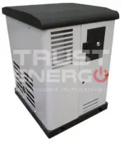 Газовый генератор REG GG12-230S